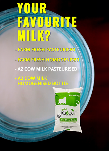 Features of Kubauli Milk photo